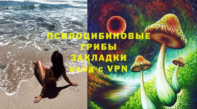 Псилоцибиновые грибы Psilocybe  где купить наркотик  shop формула  Минусинск 